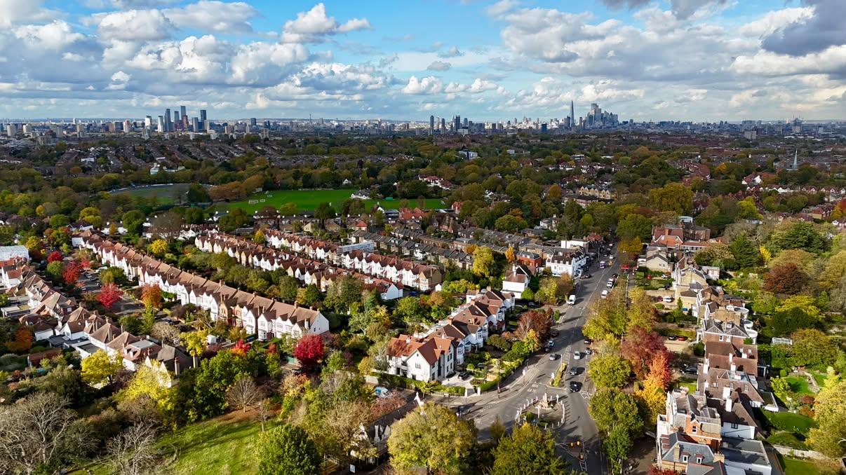South London residential streets and varied housing seen from above