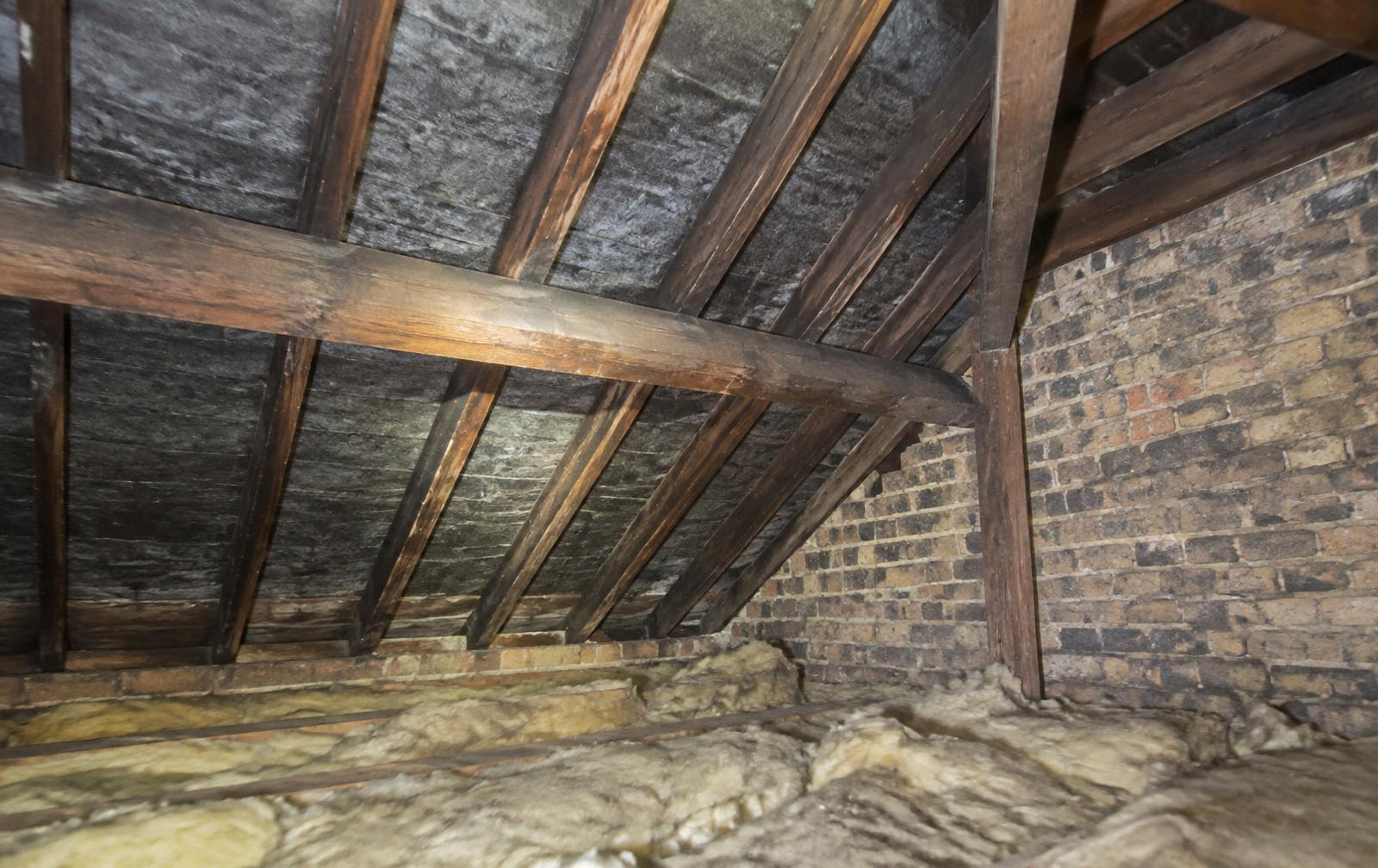 Internal roof space inspection showing timber rafters in a South London period property