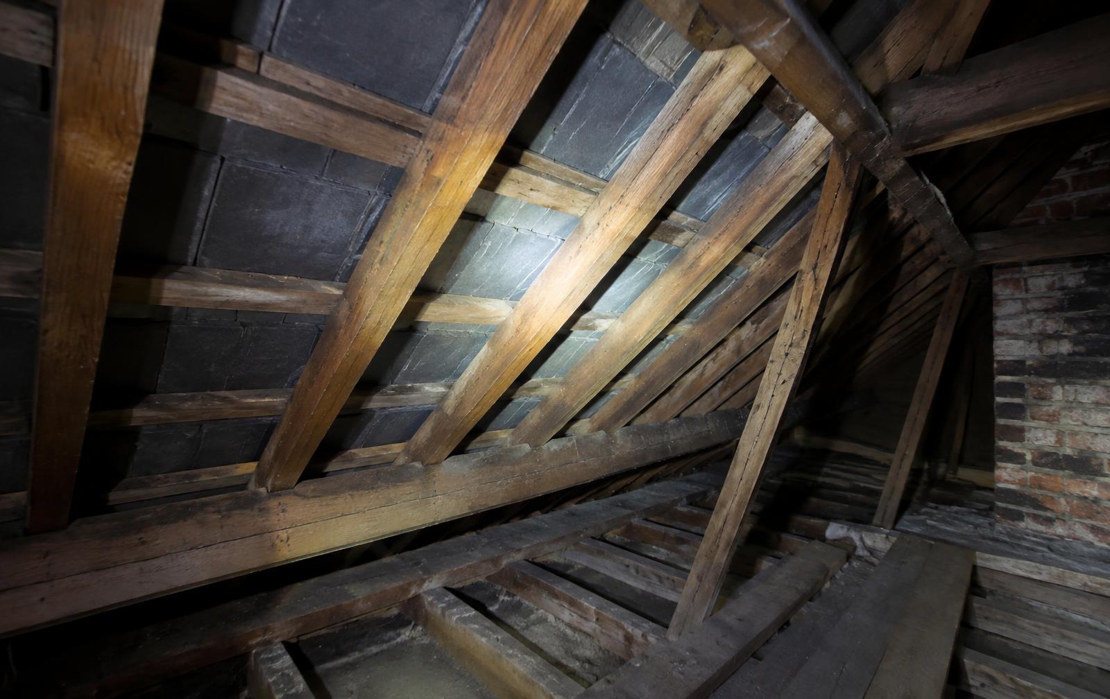 Timber rafters and slate underside inside a period roof space